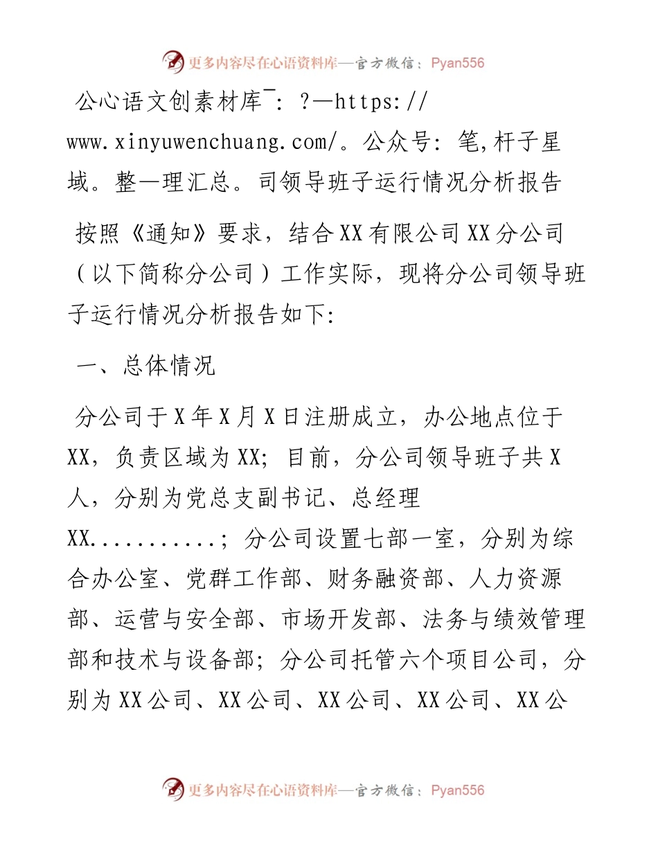 公司领导班子运行情况分析报告.docx_第1页