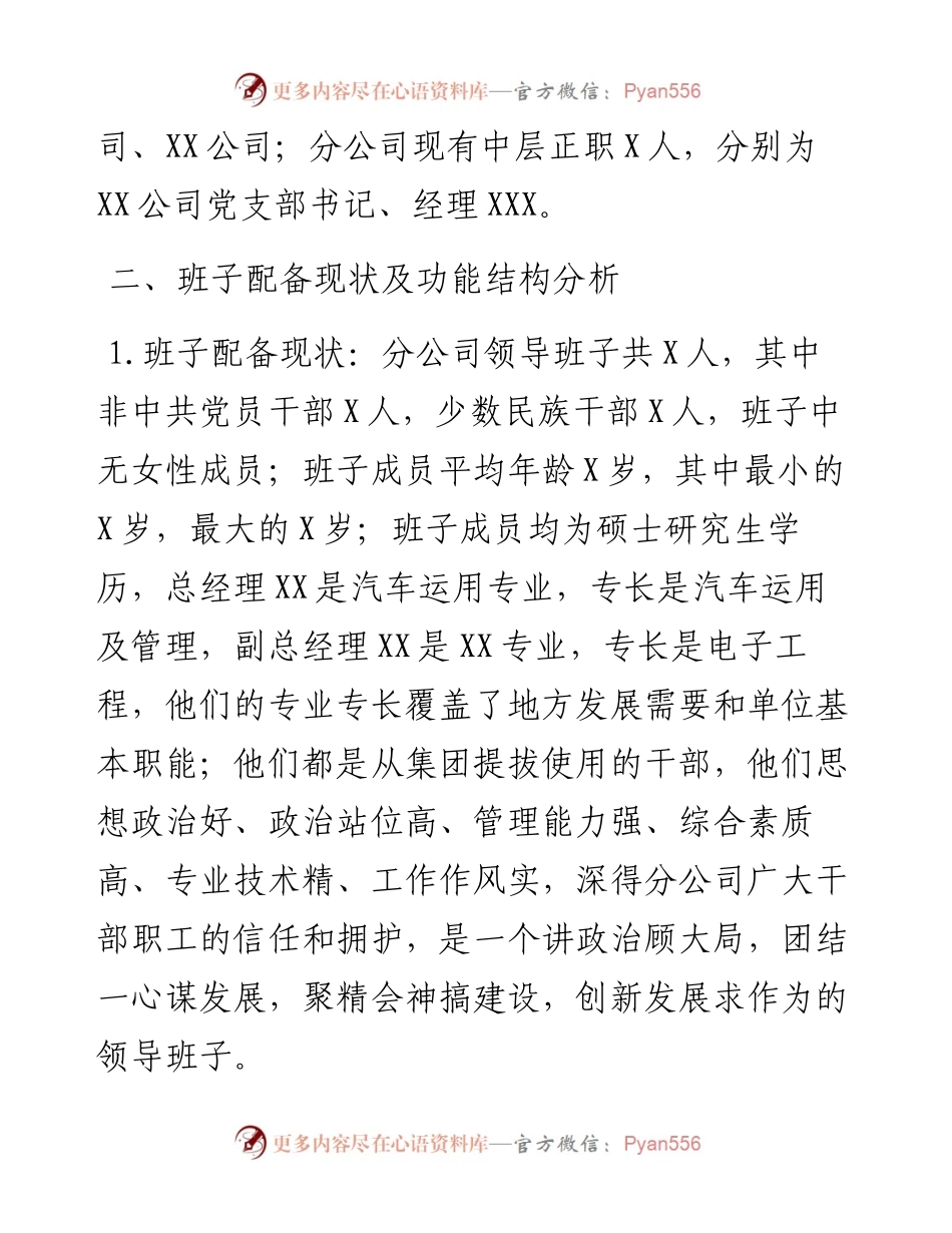公司领导班子运行情况分析报告.docx_第2页