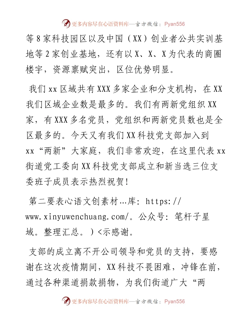 公司党支部成立大会上的讲话.docx_第2页