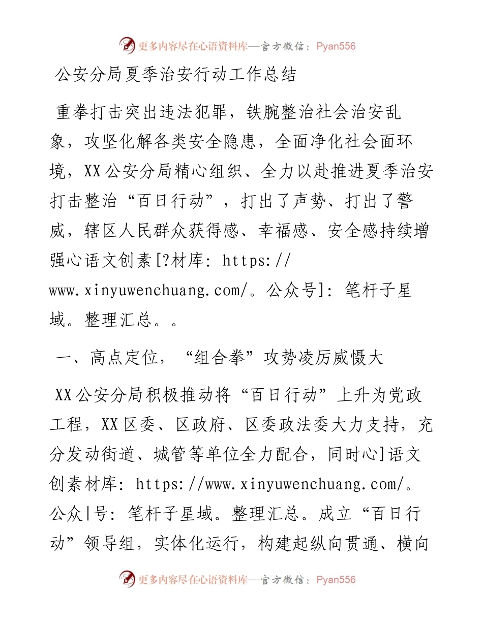 公安分局夏季治安行动工作总结.docx_第1页