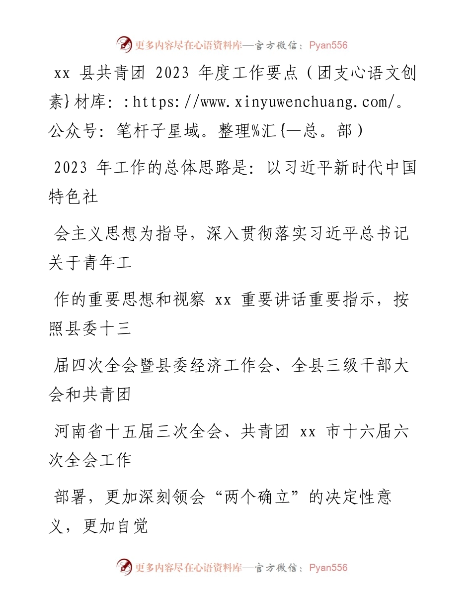县共青团2023年度工作要点（团支部）.docx_第1页