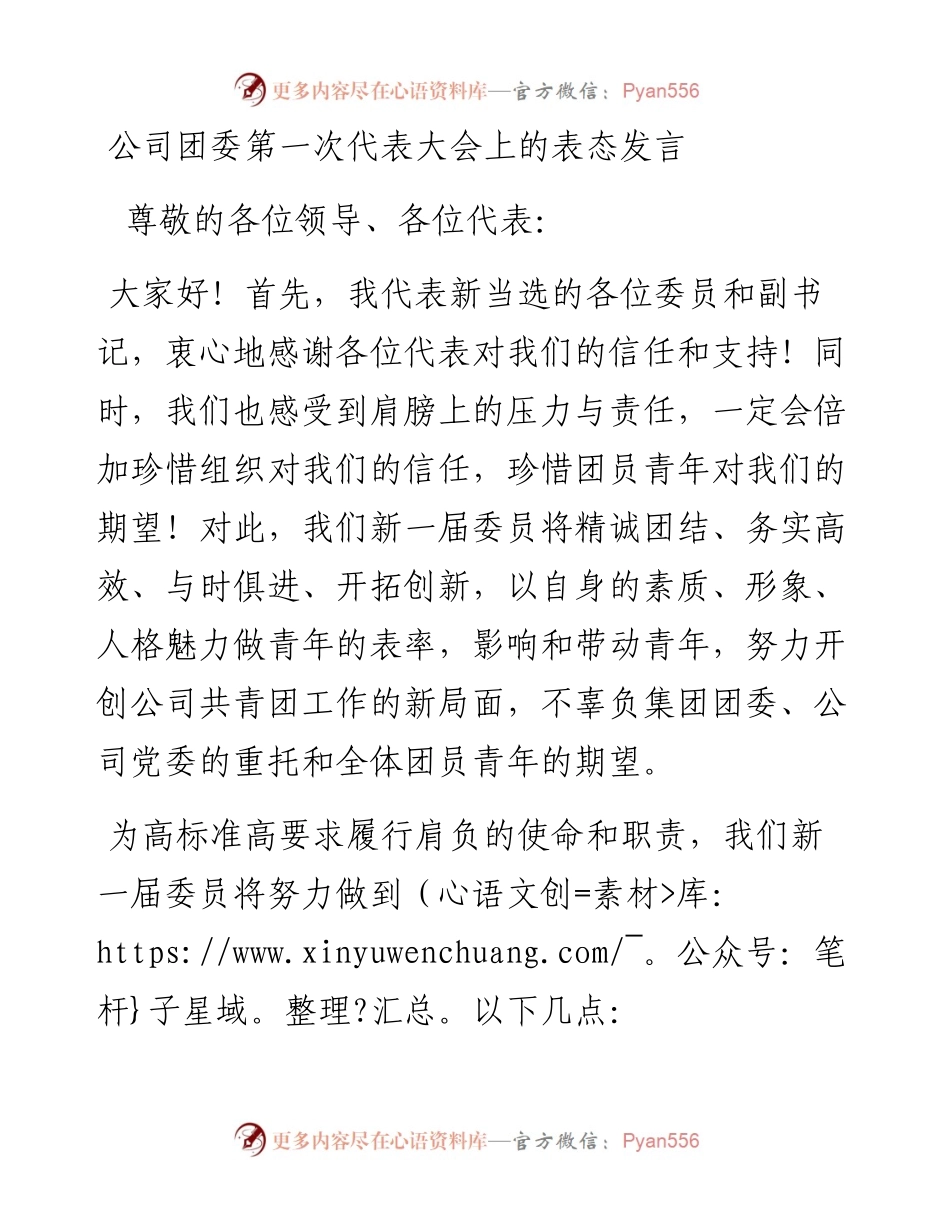 公司团委第一次代表大会上的表态发言.docx_第1页