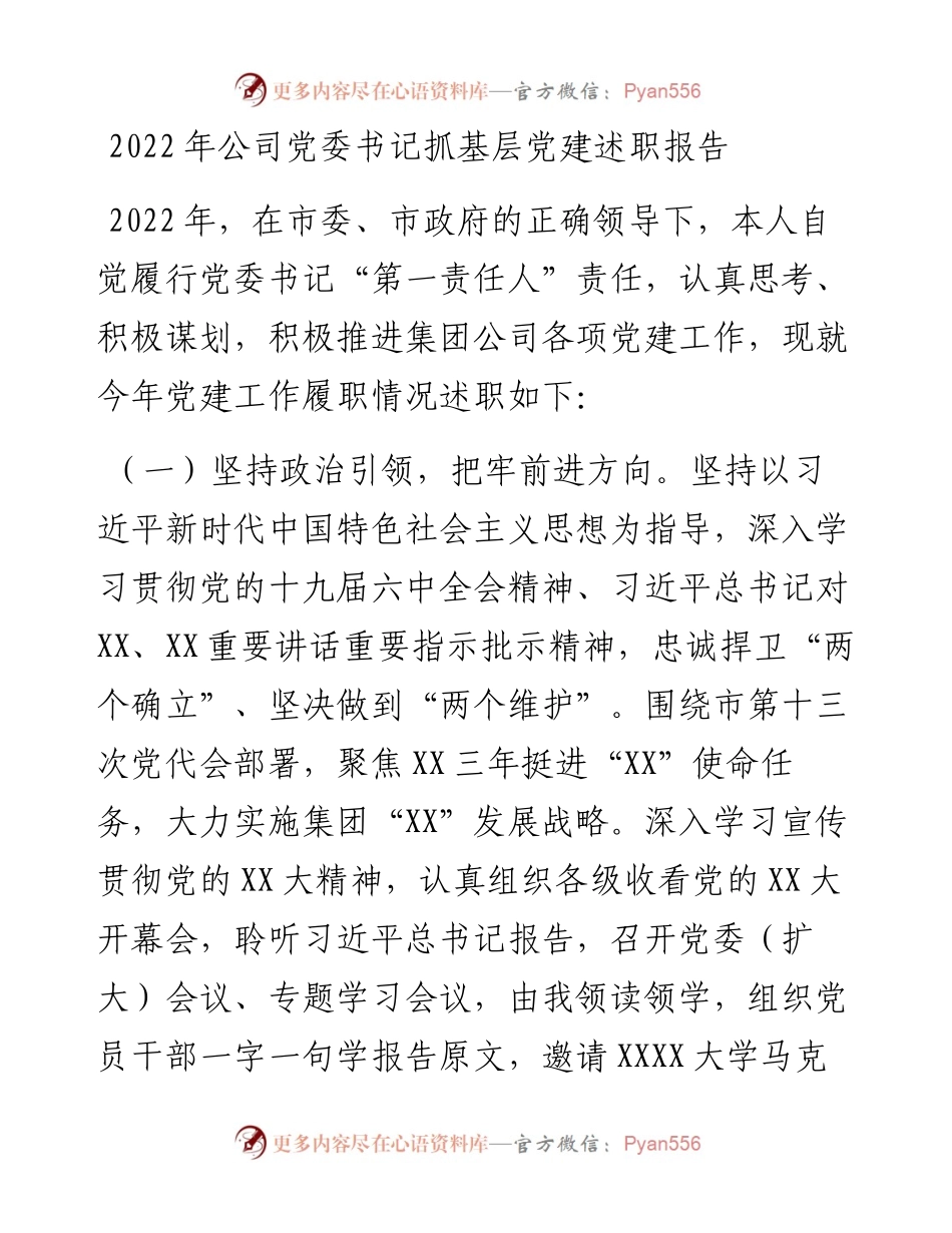 公司党委书记抓基层党建述职报告.docx_第1页