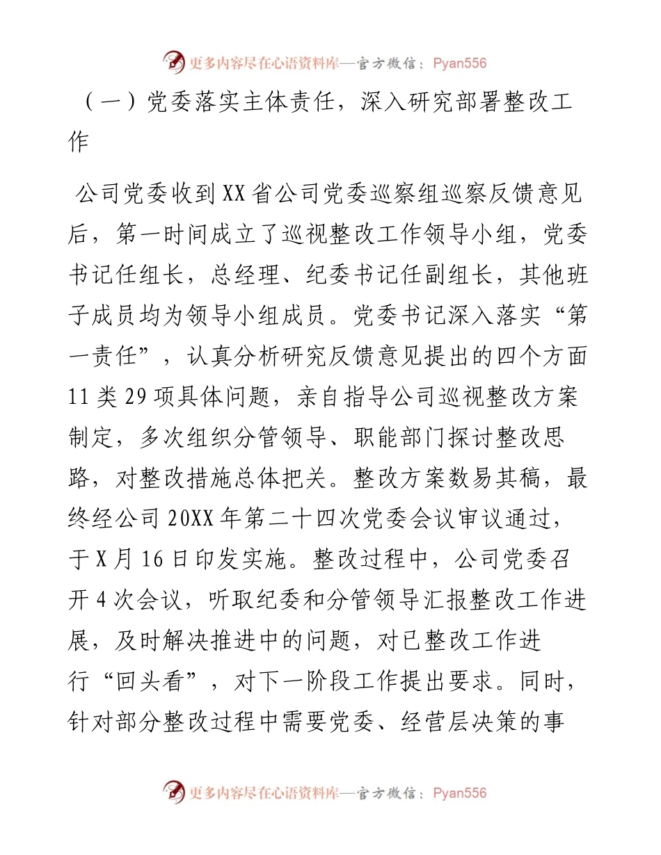 公司党委关于巡察整改进展情况的报告.docx_第2页