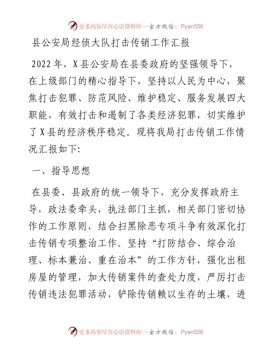 县公安局经侦大队打击传销工作汇报.docx_第1页