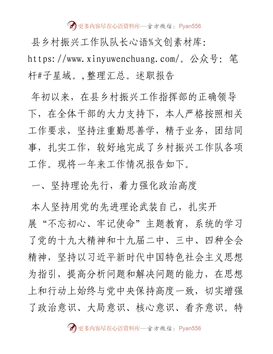 县乡村振兴工作队队长述职报告.docx_第1页