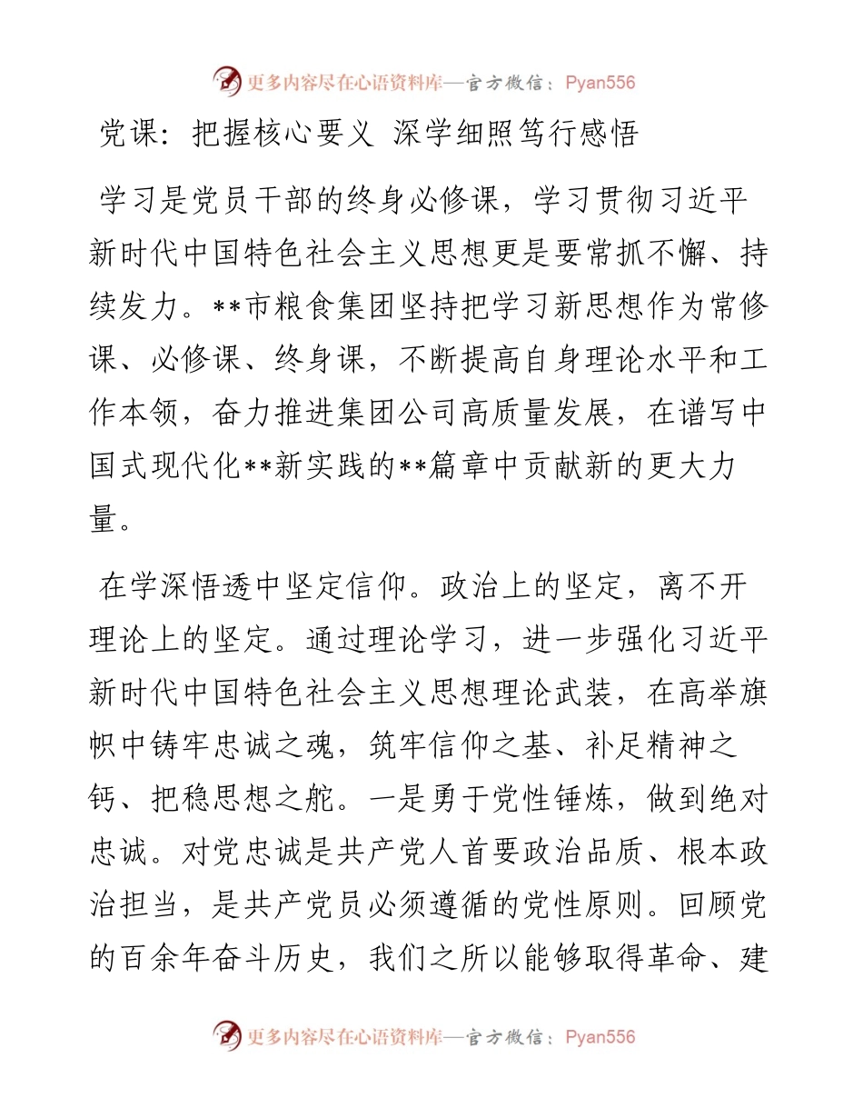 党课：把握核心要义 深学细照笃行感悟.docx_第1页