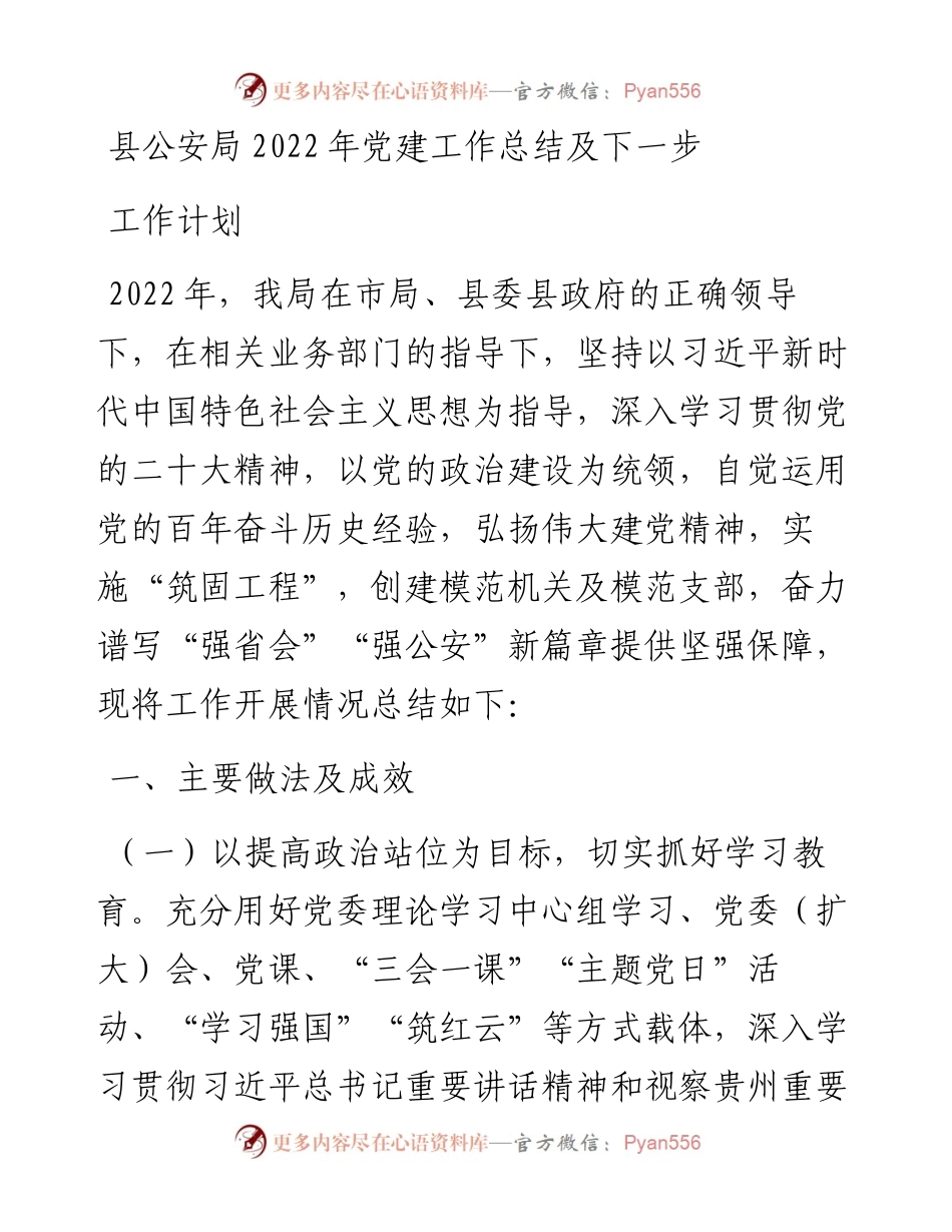 县公安局党建工作总结及下一步工作计划.docx_第1页