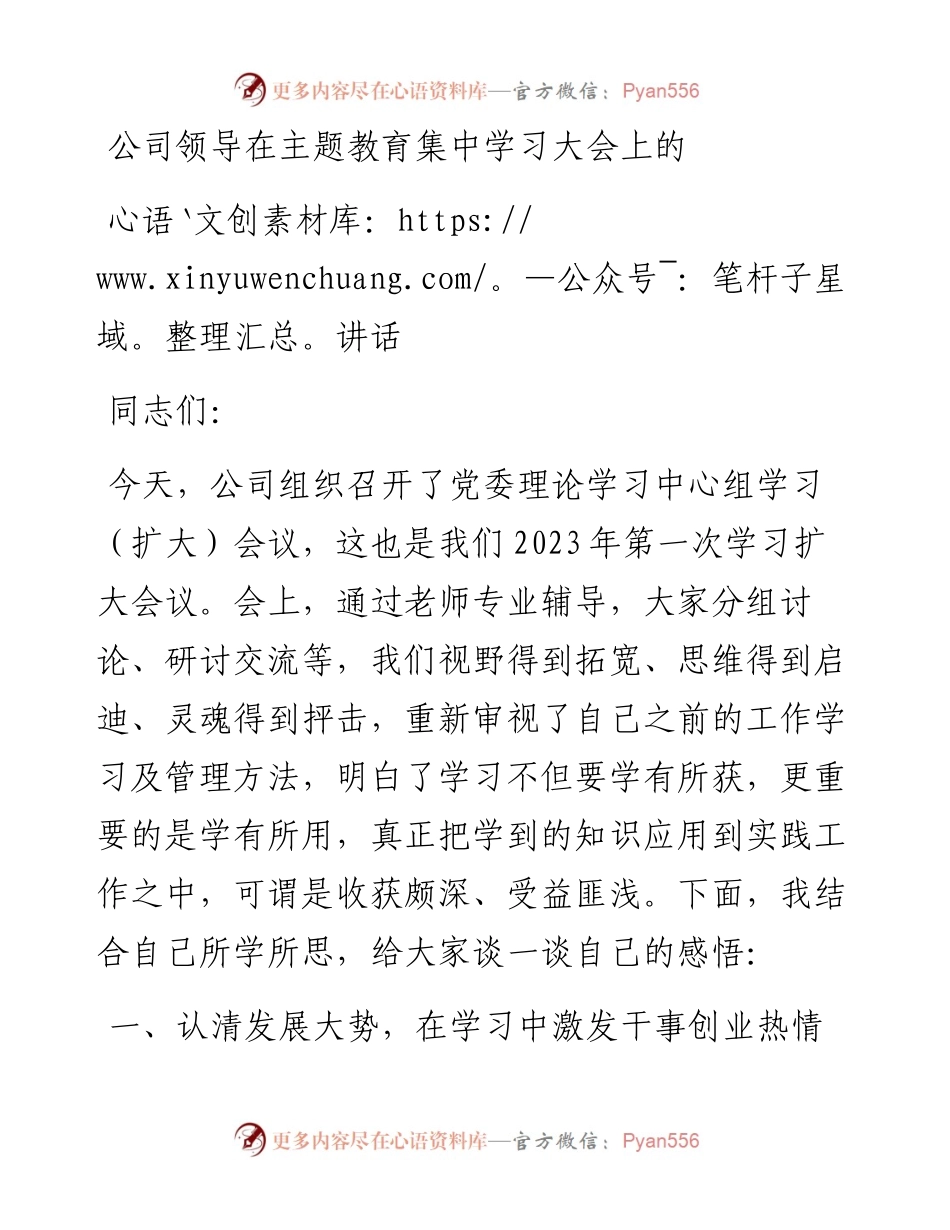 公司领导在主题教育集中学习大会上的讲话.docx_第1页
