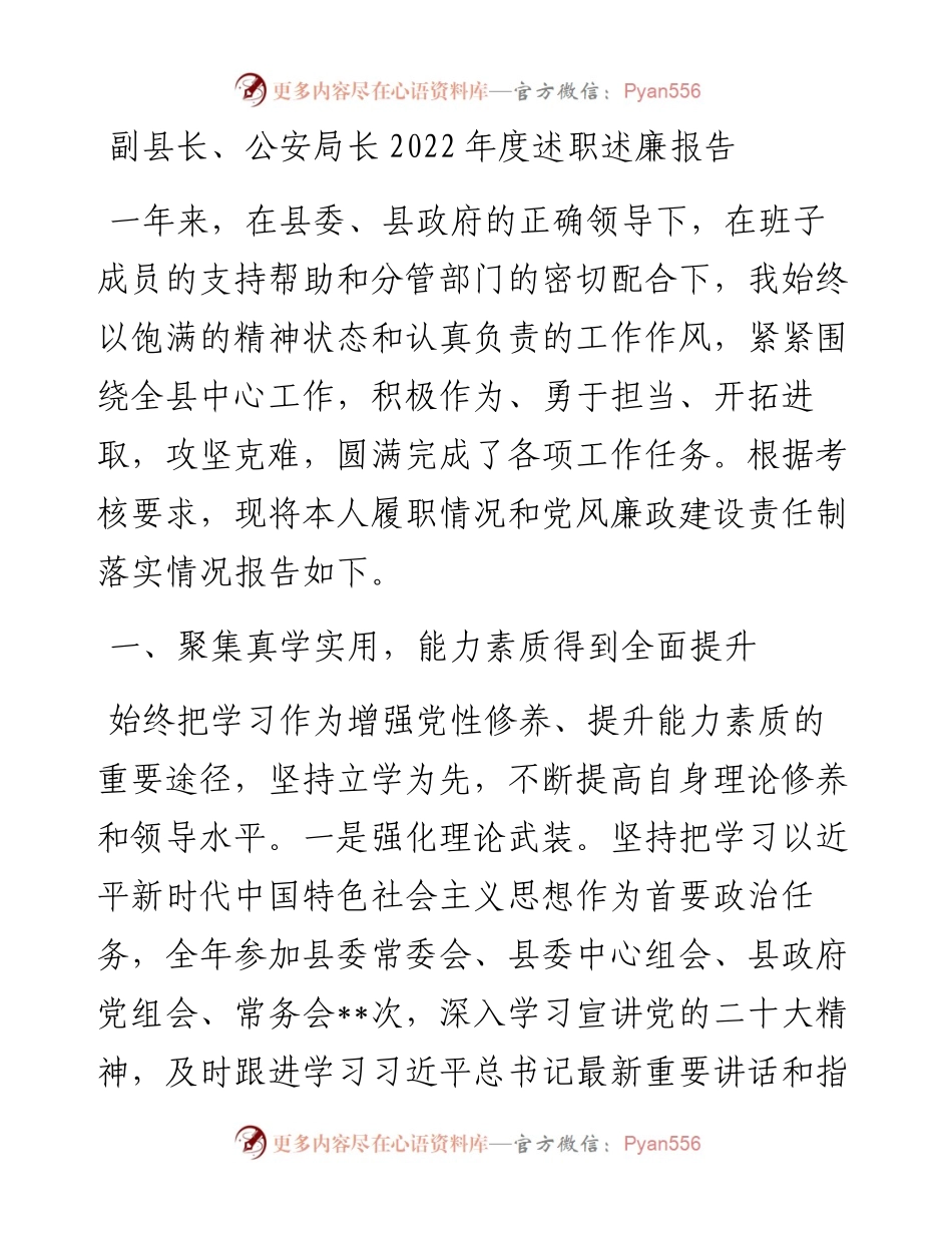 副县长、公安局长度述职述廉报告.docx_第1页