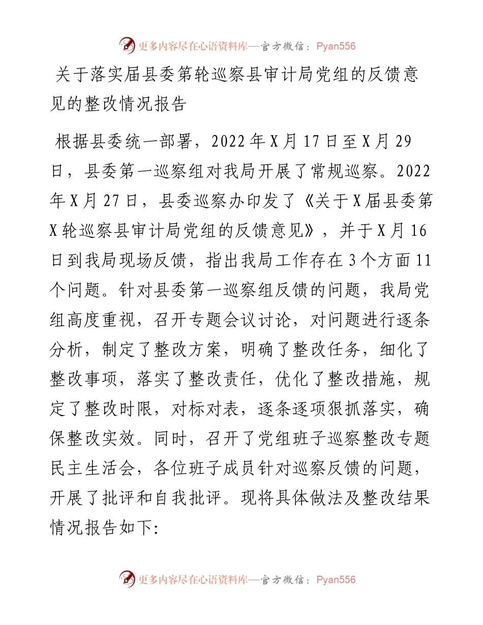 关于落实届县委第轮巡察县审计局党组的反馈意见的整改情况报告.docx_第1页