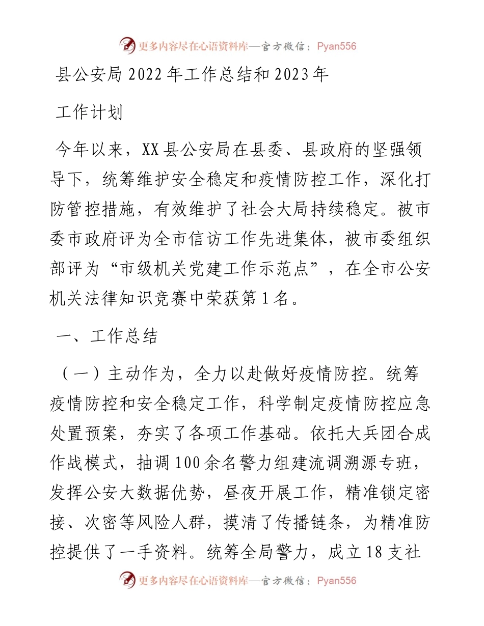县公安局工作总结和2023年工作计划.docx_第1页