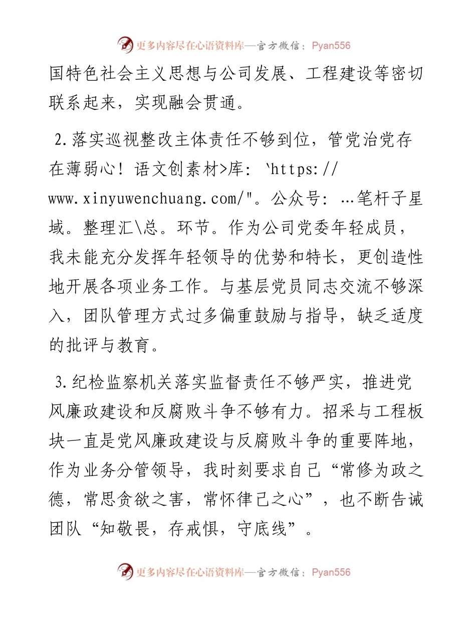公司党委班子成员巡视巡察整改专题民主生活会个人发言材料.docx_第2页