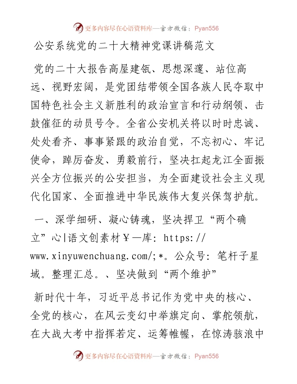 公安系统党的二十大精神党课讲稿（局，盛会，国家安全）.docx_第1页