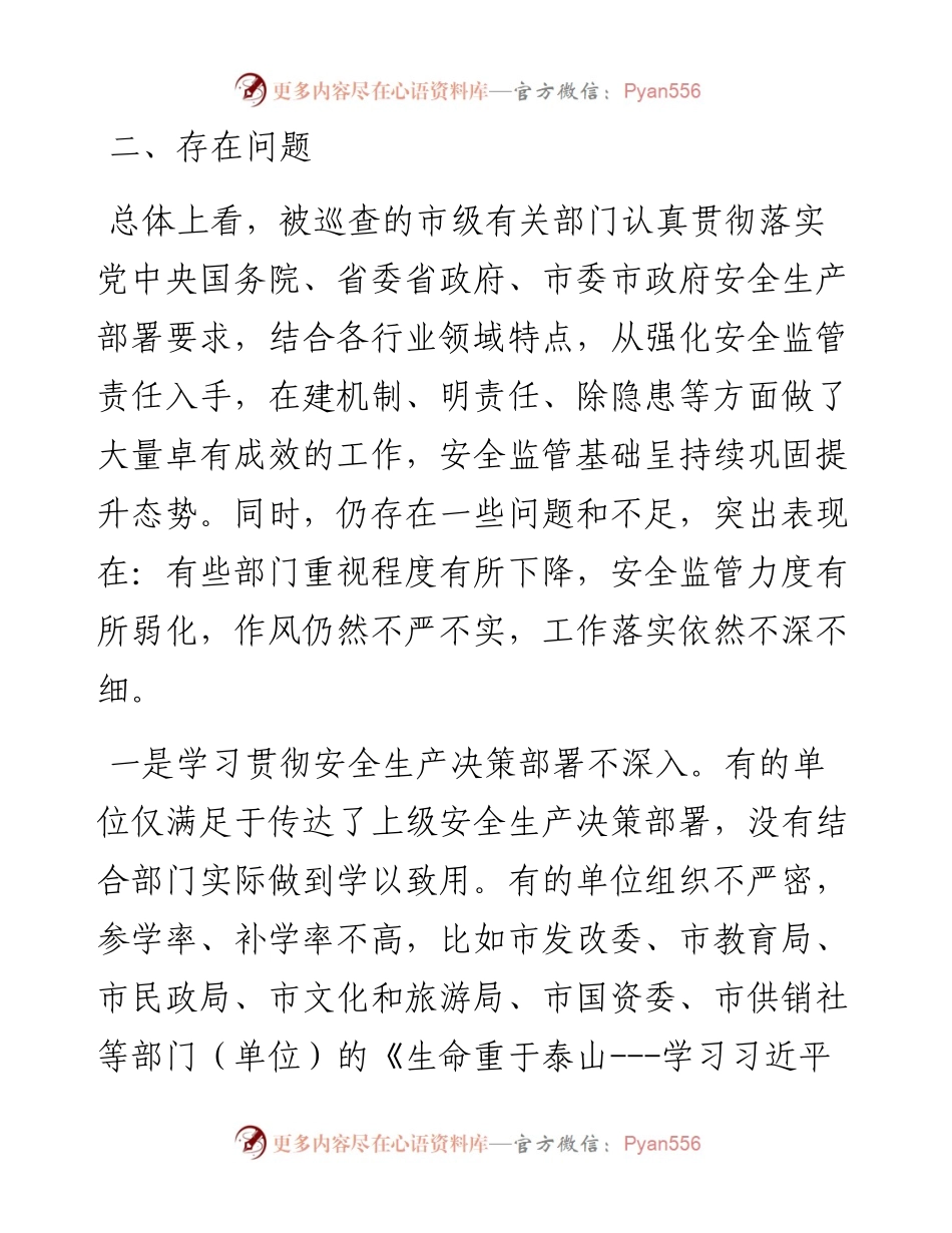 关于市级部门安全生产专项督查报告.docx_第2页