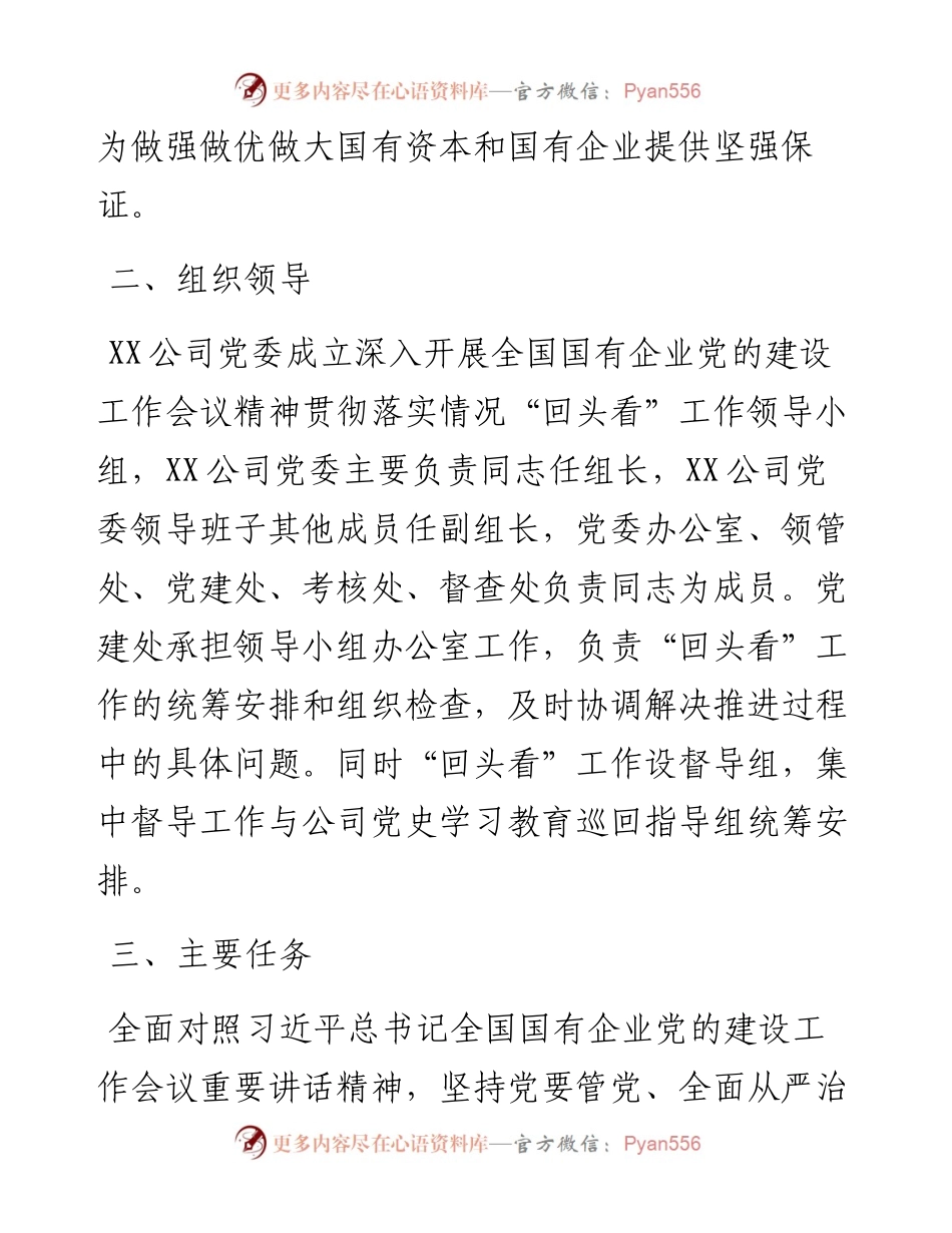 公司开展全国国有企业党的建设工作会议精神贯彻落实情况“回头看”实施方案.docx_第2页