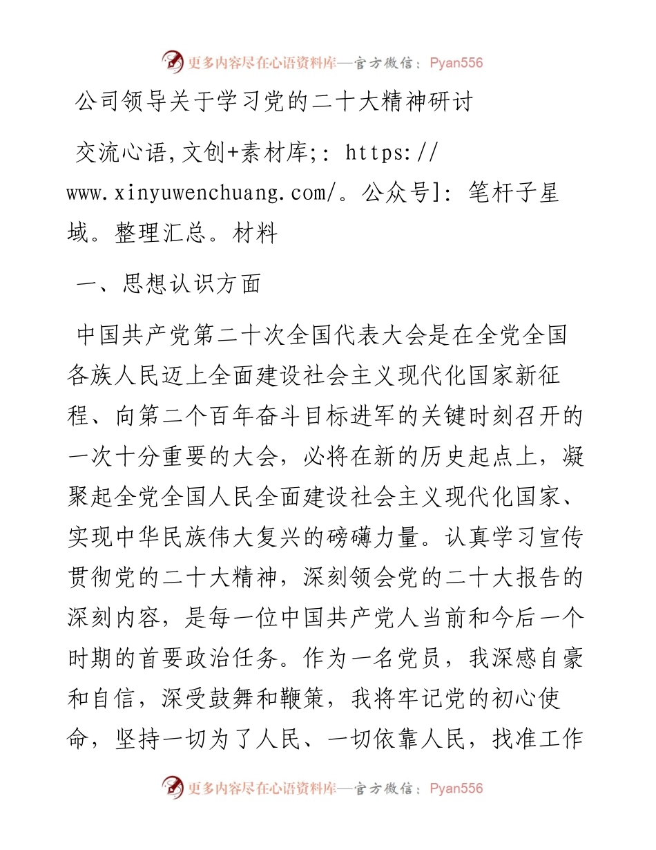 公司领导关于学习党的二十大精神研讨交流材料.docx_第1页