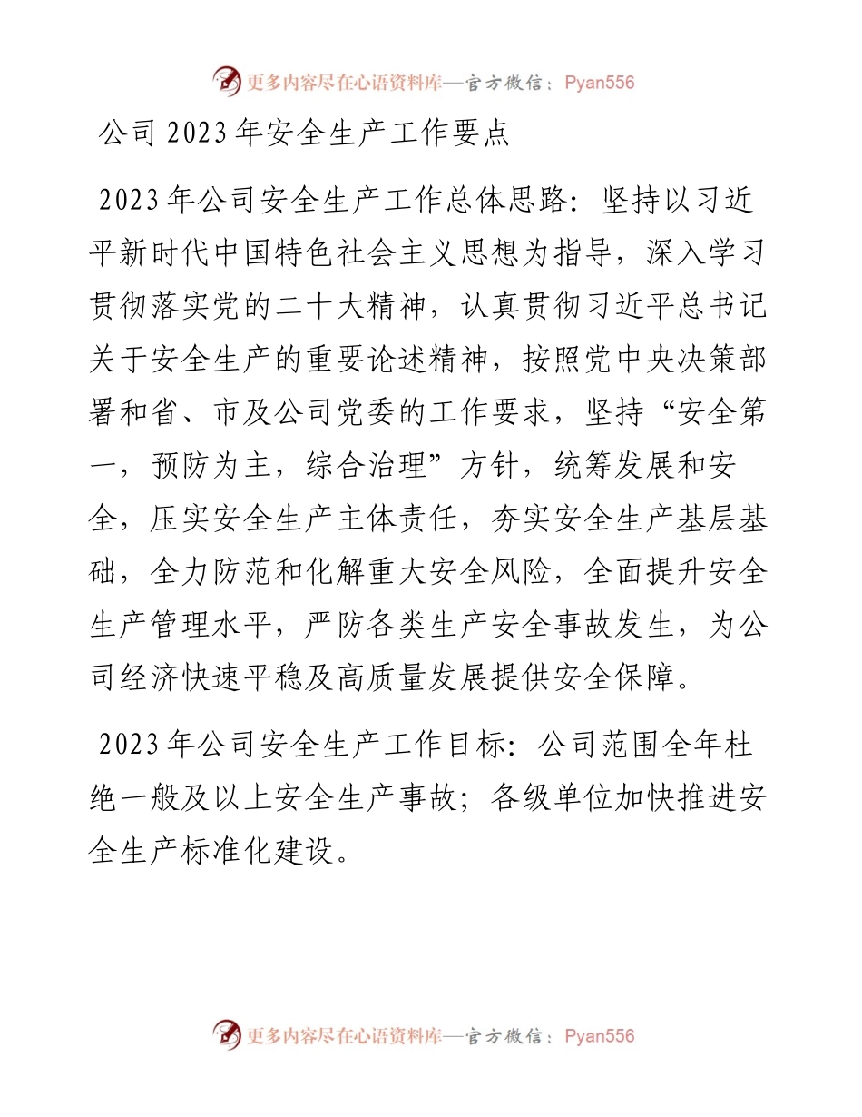 公司2023年安全生产工作要点.docx_第1页