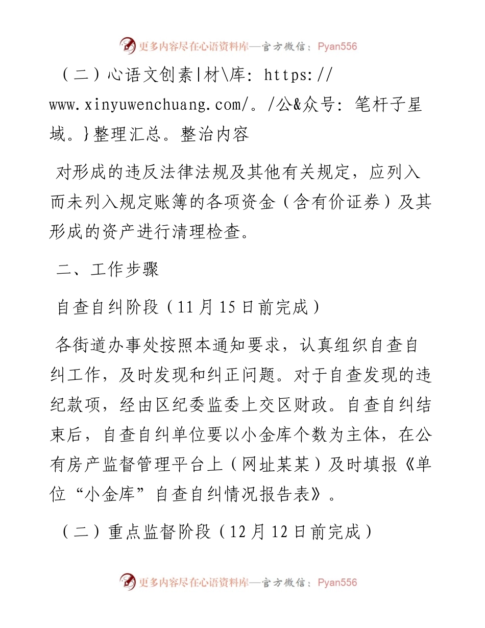 关于开展“小金库”专项整治工作方案.docx_第2页