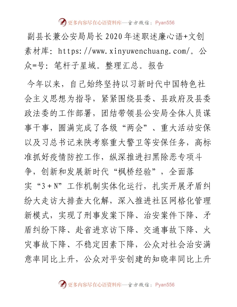 副县长兼公安局局长述职述廉报告.docx_第1页