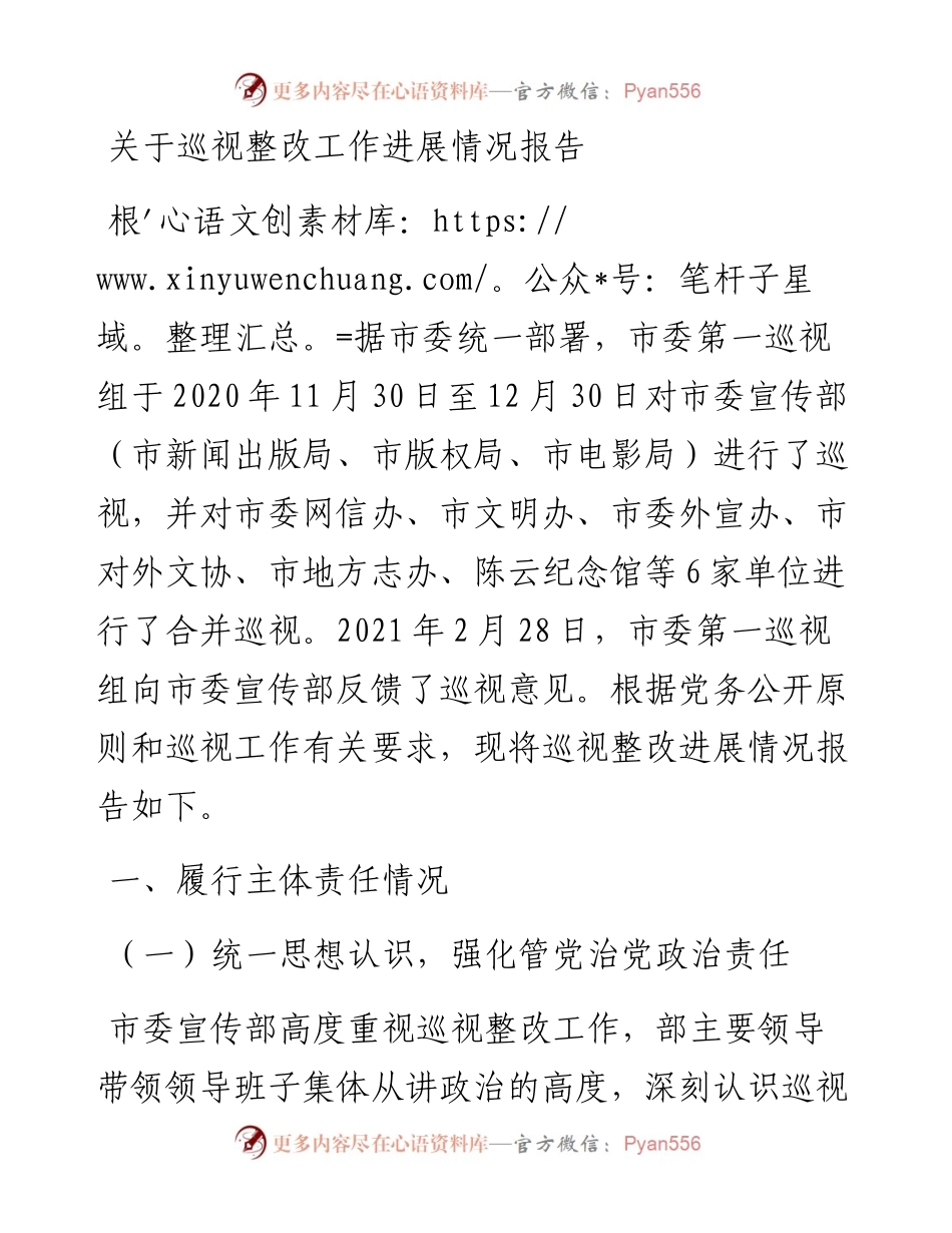 关于巡视整改工作进展情况报告.docx_第1页