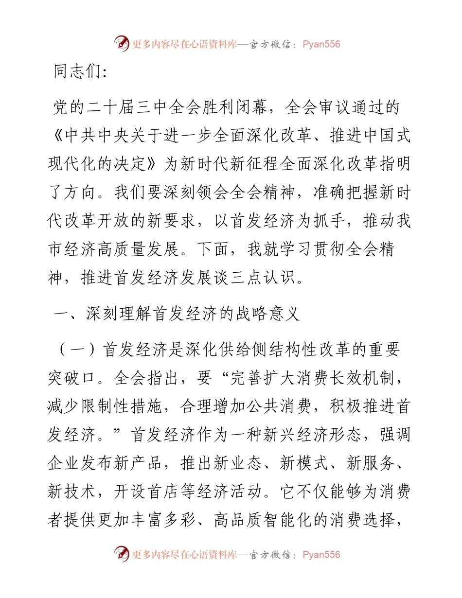 副市长关于首发经济研讨发言材料.docx_第1页