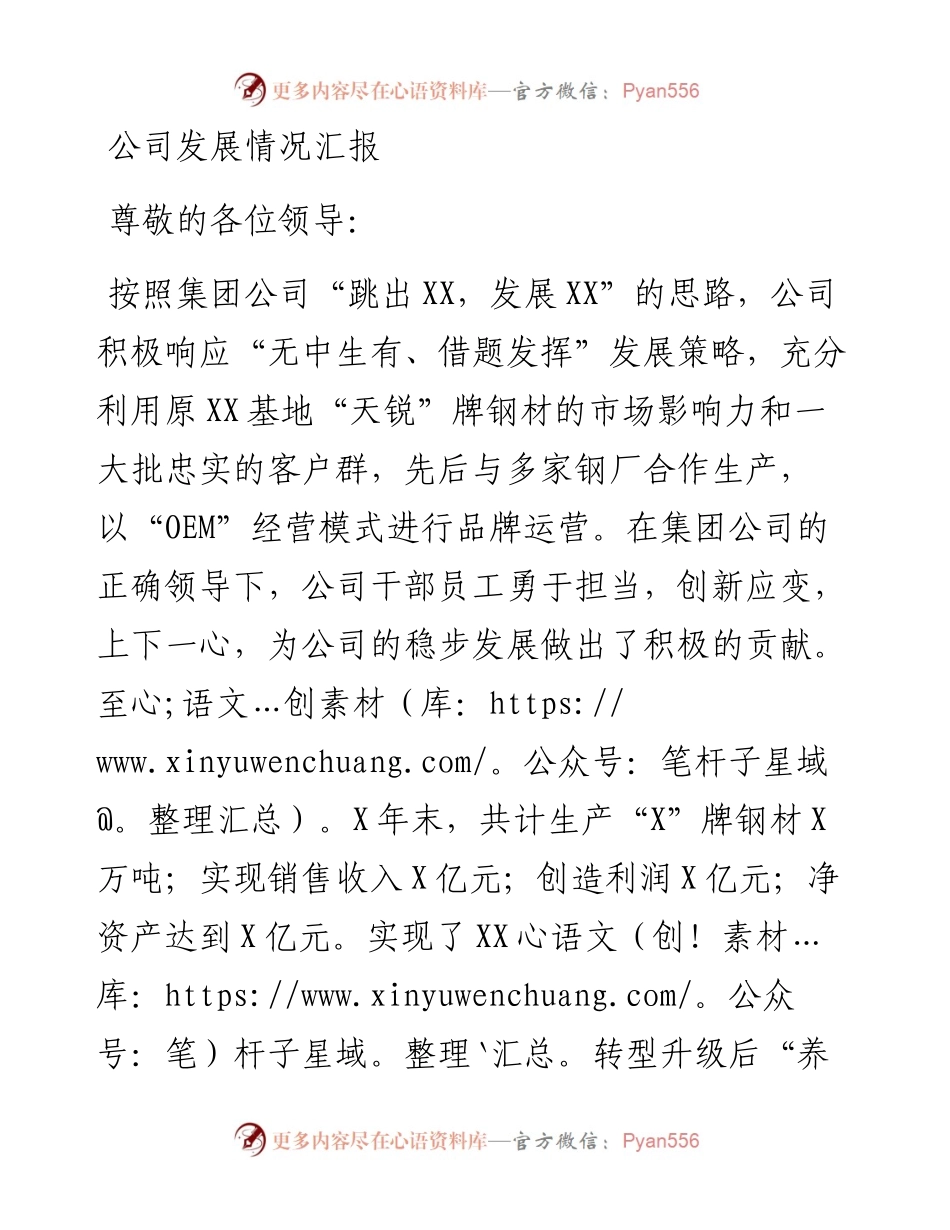 公司发展情况汇报.docx_第1页