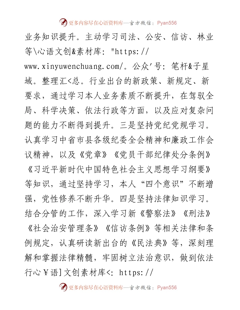 副县长、公安局长述职述廉述效报告（区县政府）.docx_第2页