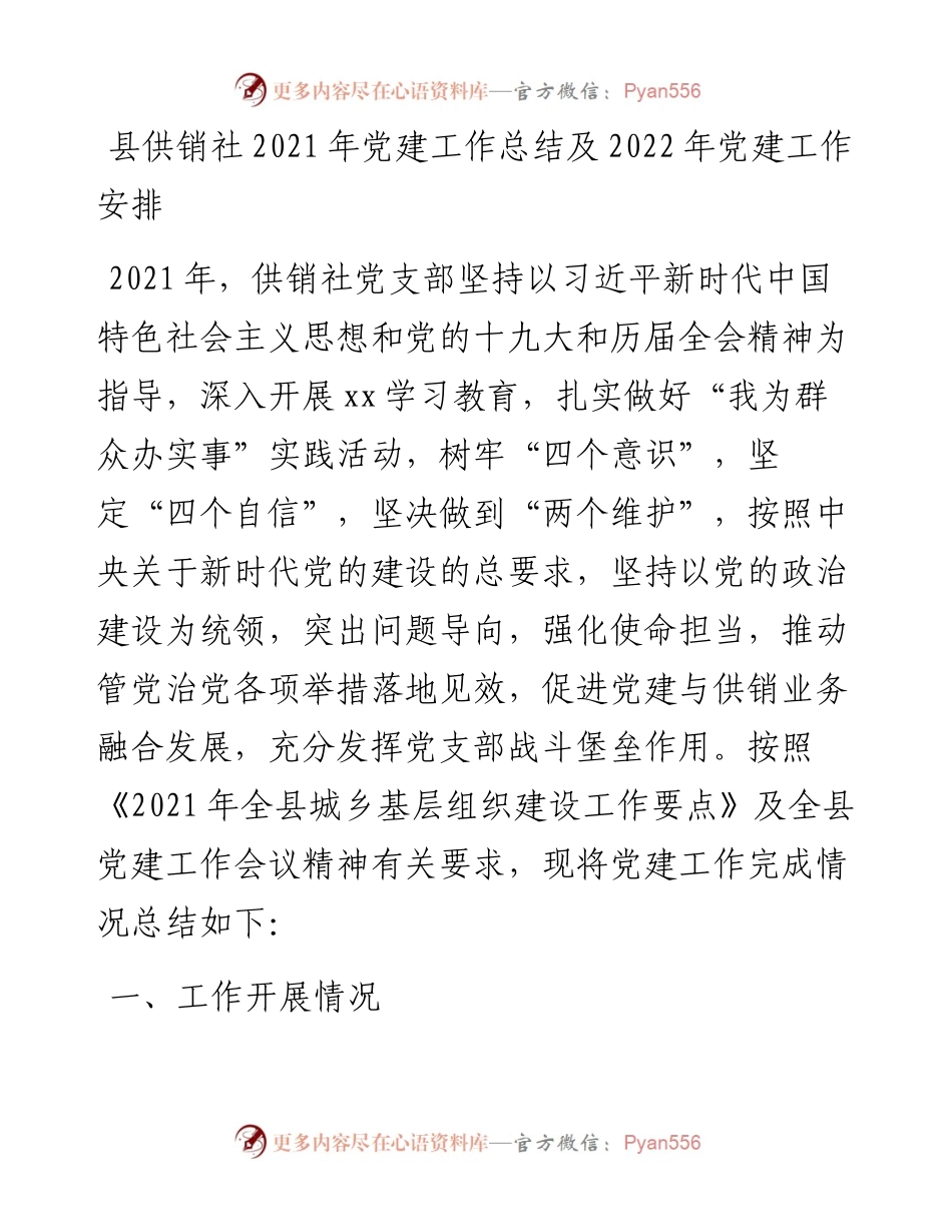 县供销社党建工作总结及党建工作安排.docx_第1页