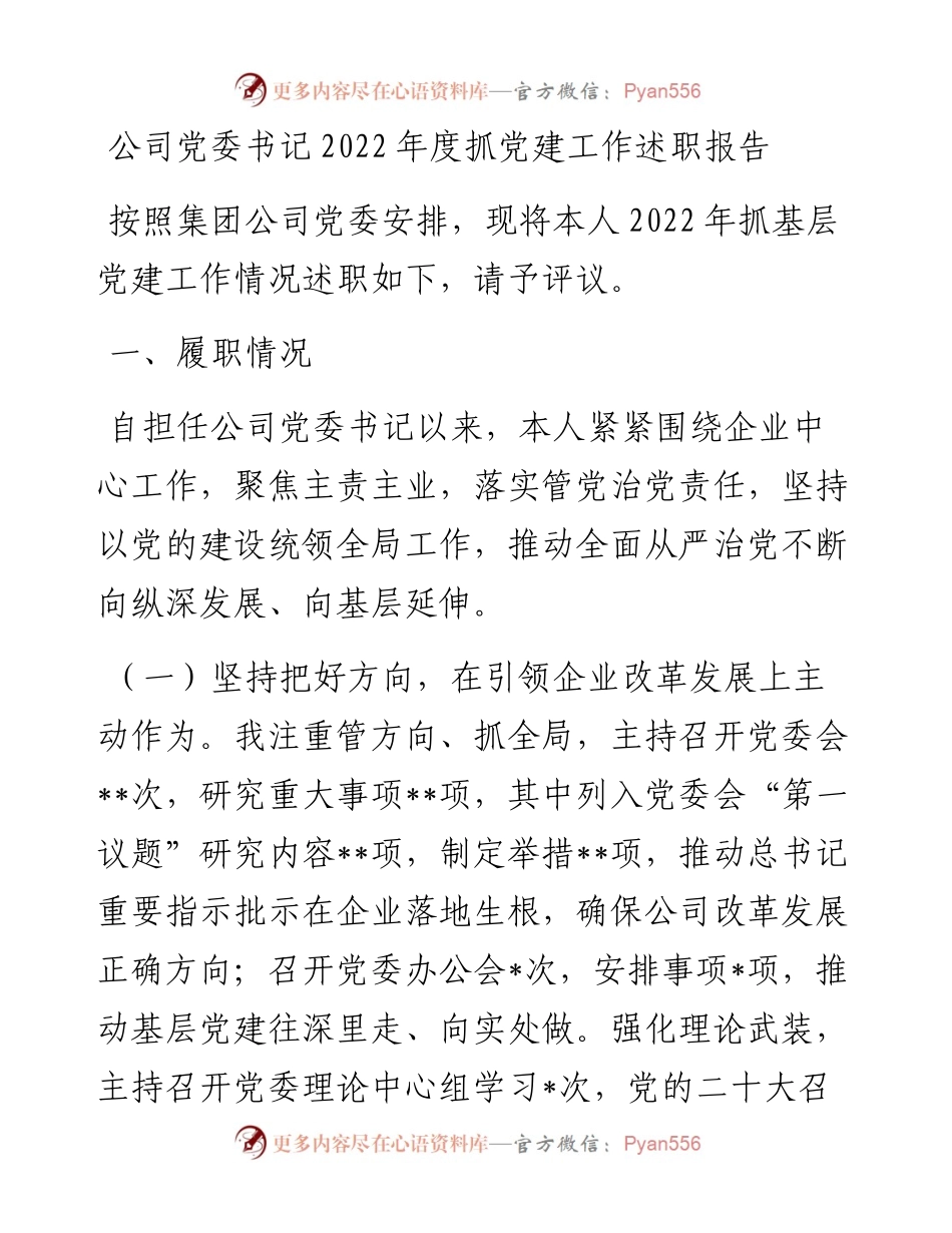 公司党委书记度抓党建工作述职报告.docx_第1页