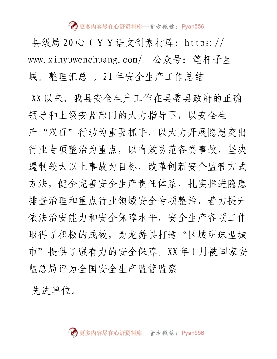 县级局安全生产工作总结.docx_第1页
