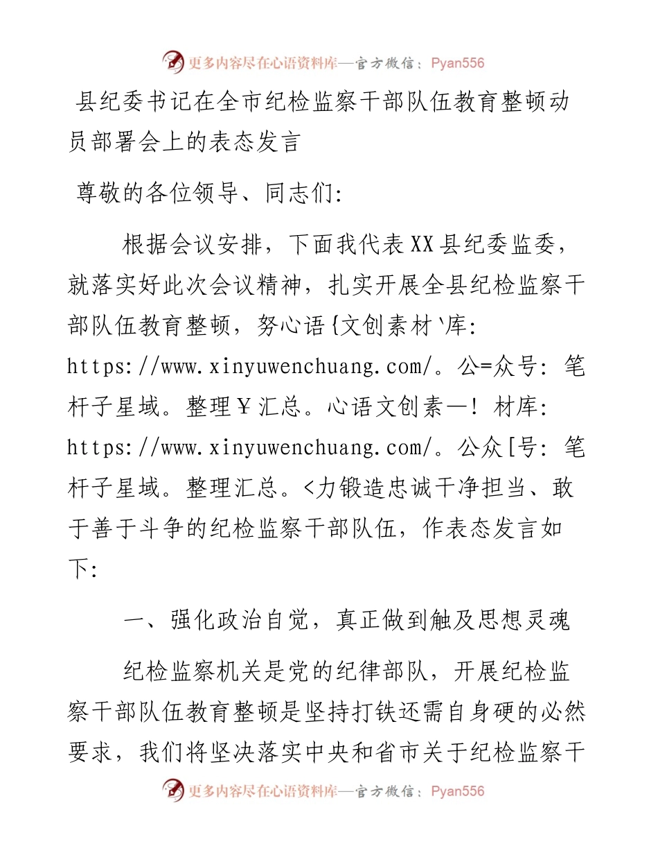县纪委书记在全市纪检监察干部队伍教育整顿动员部署会上的表态发言.docx_第1页