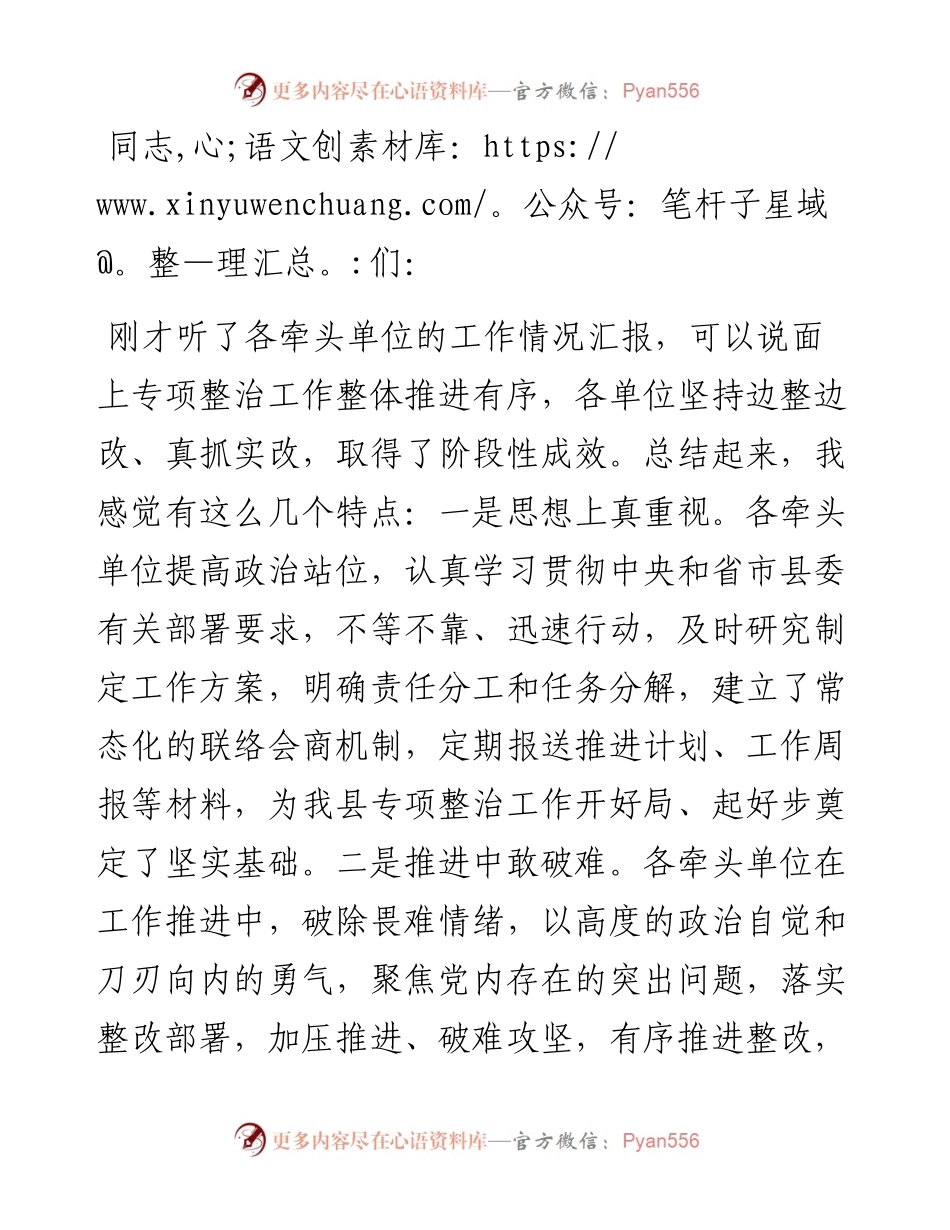 在主题教育10个专项整治工作交流会上的讲话.docx_第1页