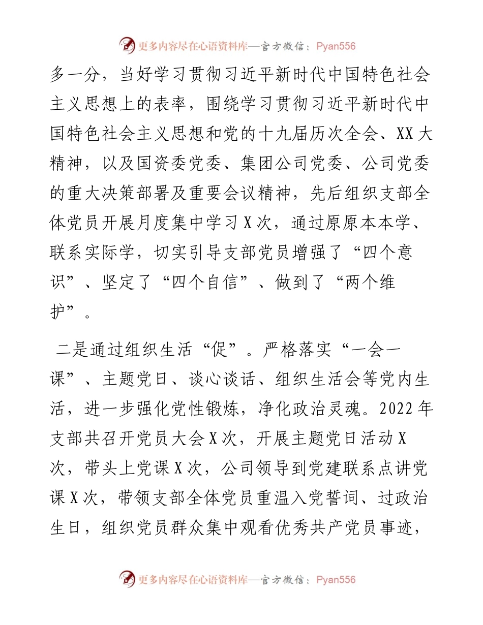 国企党支部书记抓党建工作述职报告.docx_第2页