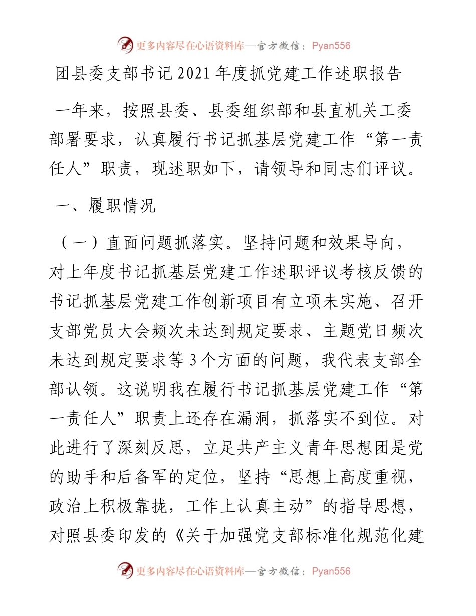 团县委支部书记度抓党建工作述职报告.docx_第1页