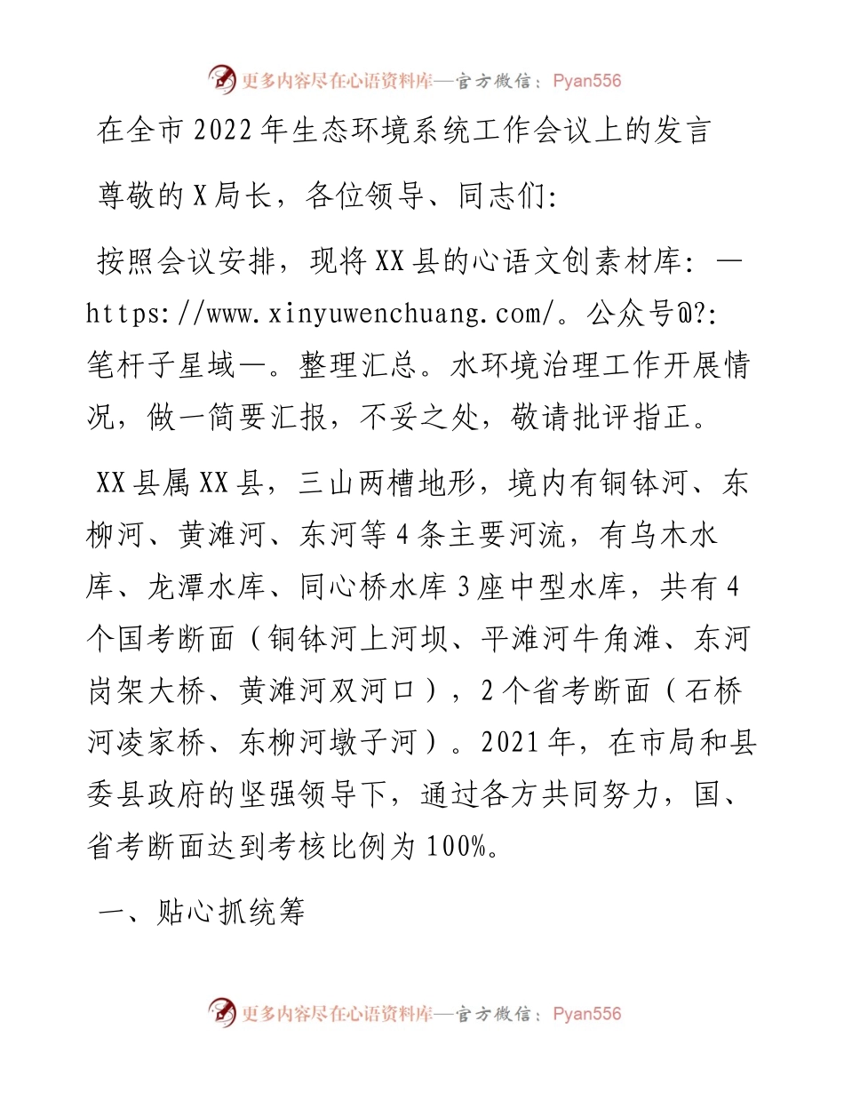 在全市生态环境系统工作会议上的发言.docx_第1页