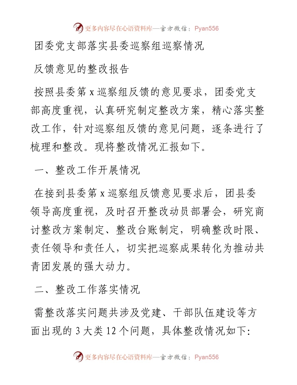 团委党支部落实县委巡察组巡察情况反馈意见的整改报告.docx_第1页