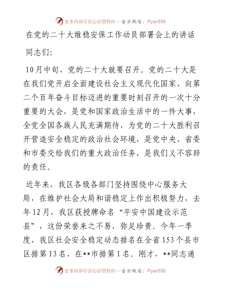 在党的二十大维稳安保工作动员部署会上的讲话.docx_第1页