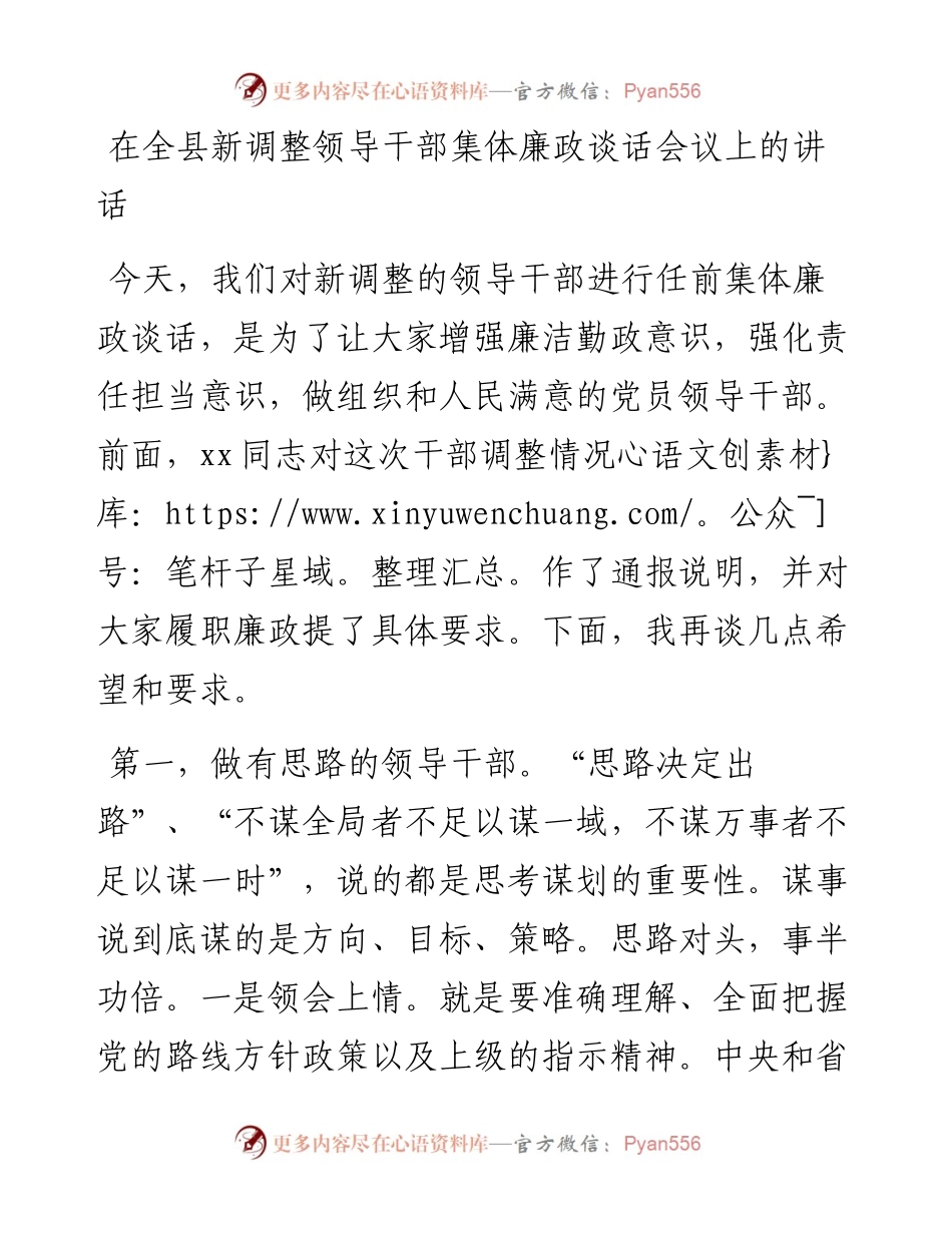在全县新调整领导干部集体廉政谈话会议上的讲话.docx_第1页