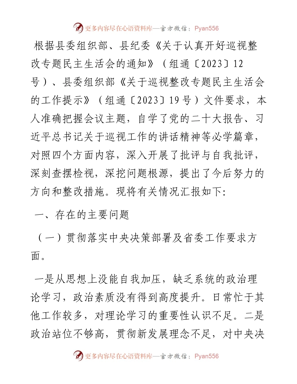 国企公司董事长巡视整改专题民主生活会对照检查发言材料.docx_第1页