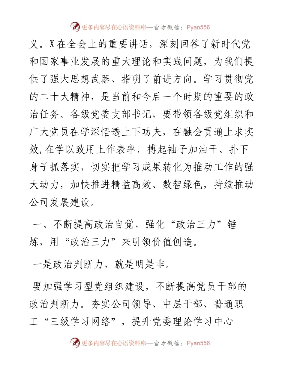 国企党委书记在2023年党建工作会议上的讲话.docx_第2页