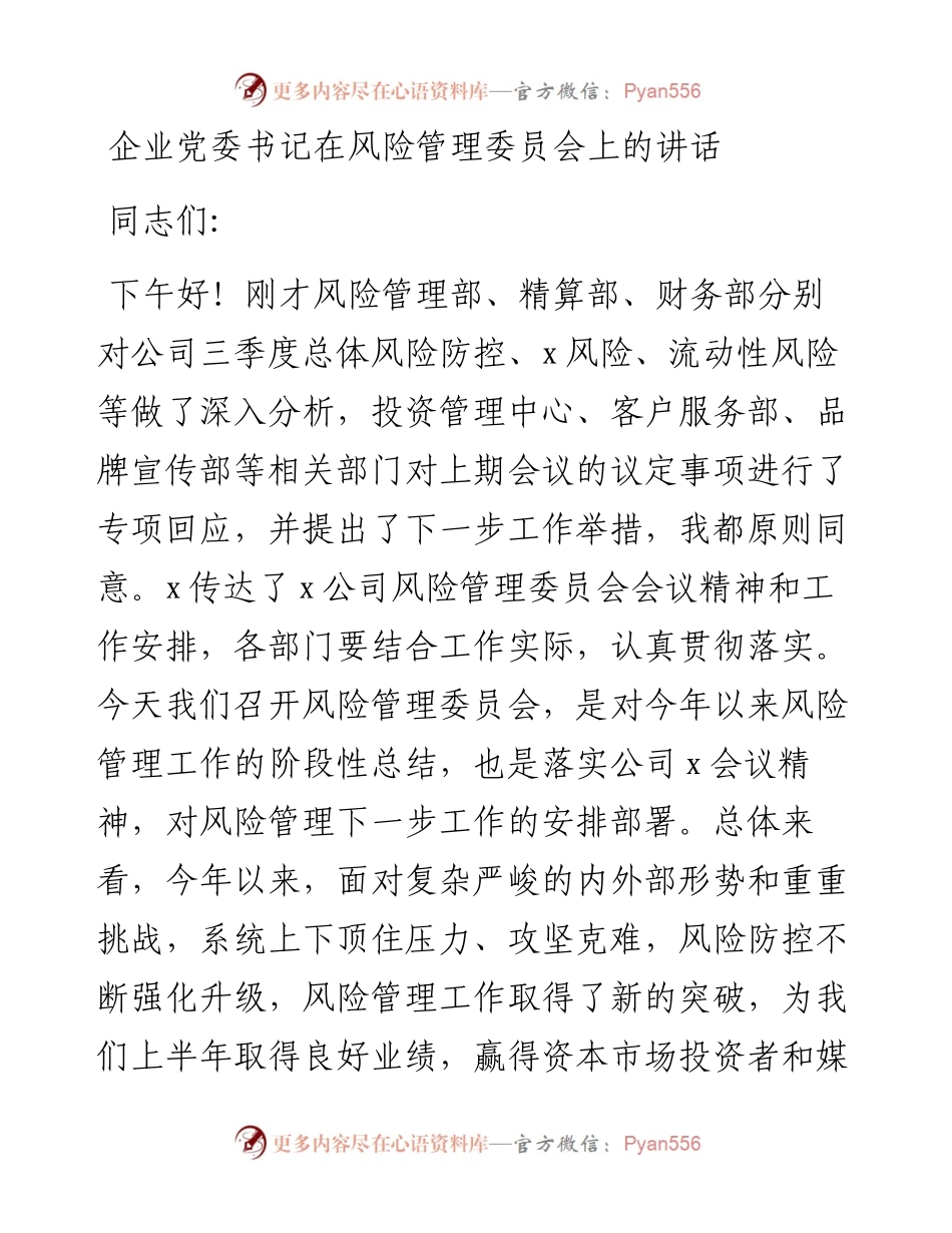 国企党委书记在风险管理委员会上的讲话.docx_第1页