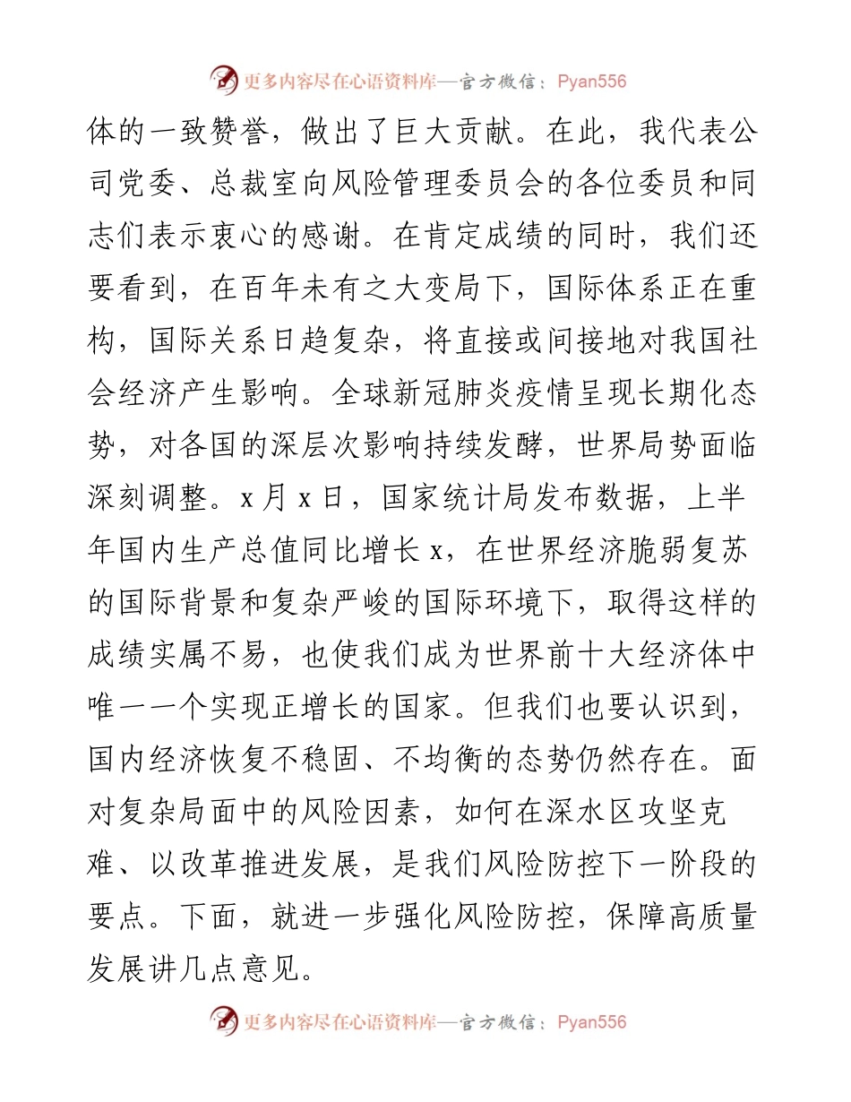 国企党委书记在风险管理委员会上的讲话.docx_第2页