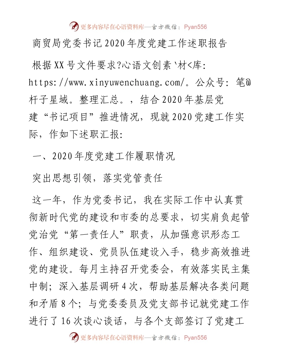 商贸局党委书记度党建工作述职报告.docx_第1页