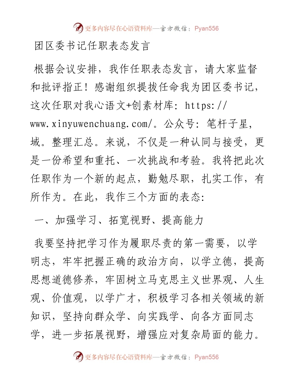 团区委书记任职表态发言.docx_第1页