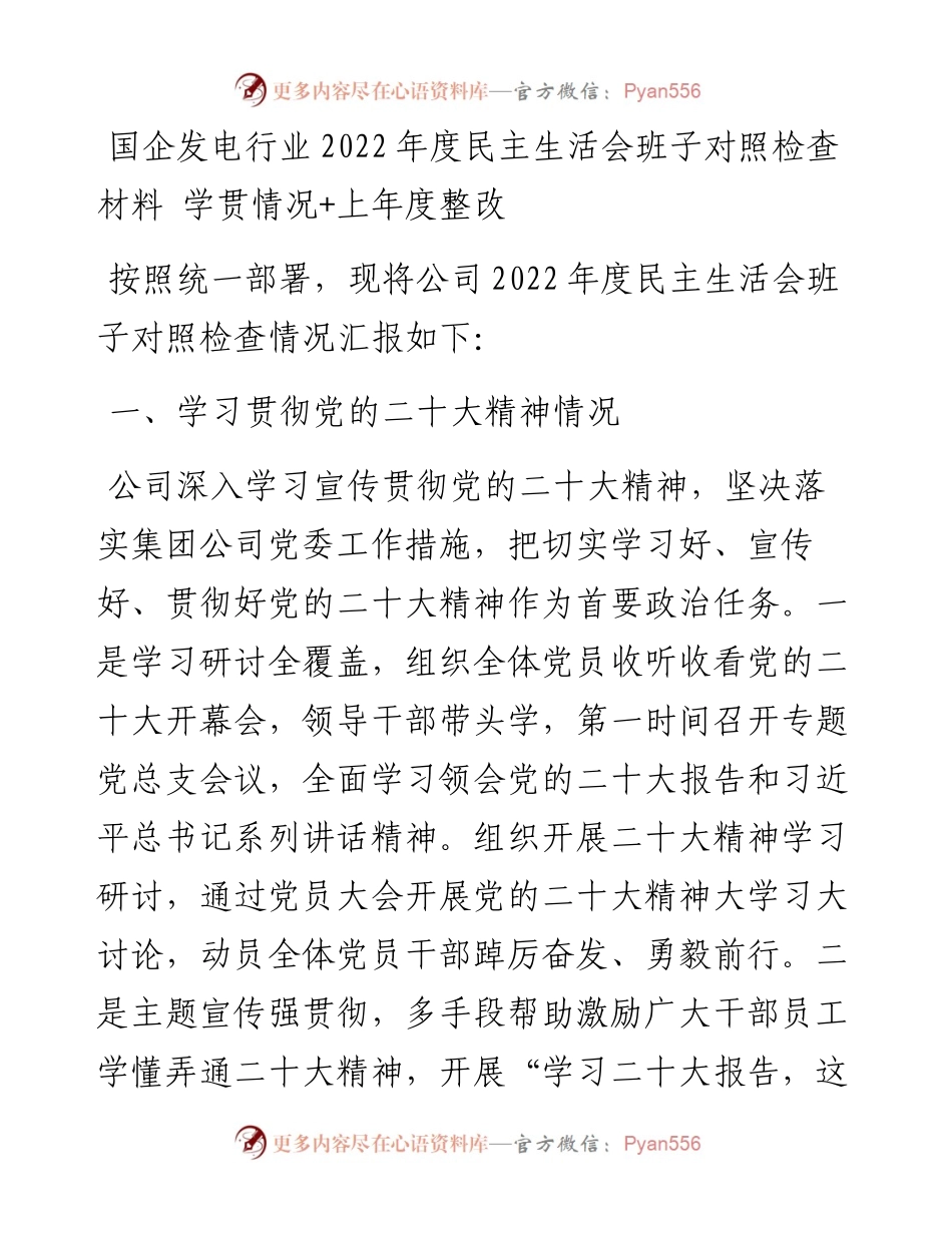 国企发电行业度民主生活会班子对照检查材料---学贯情况+上年度整改.docx_第1页