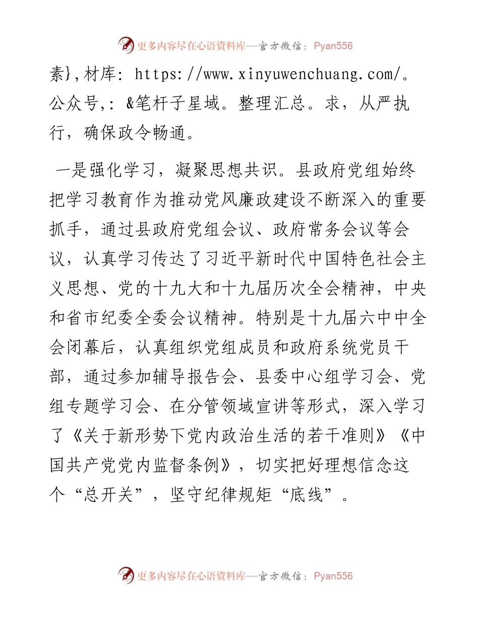 县政府党风廉政建设主体责任落实情况的自查报告.docx_第2页