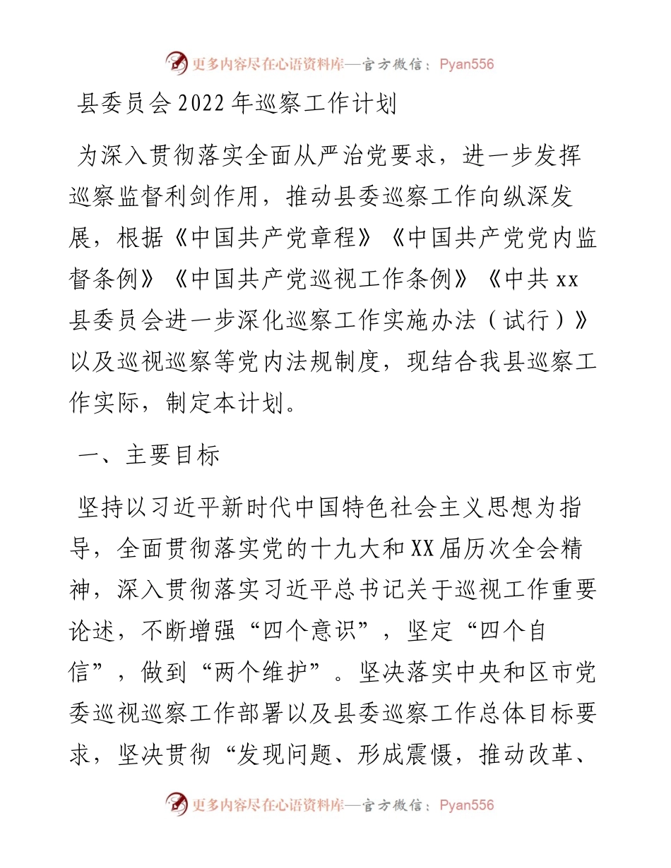 县委员会巡察工作计划.docx_第1页