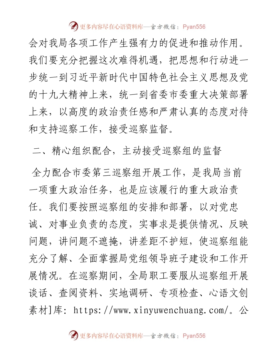 在专项巡察工作动员会议上的表态发言.docx_第2页