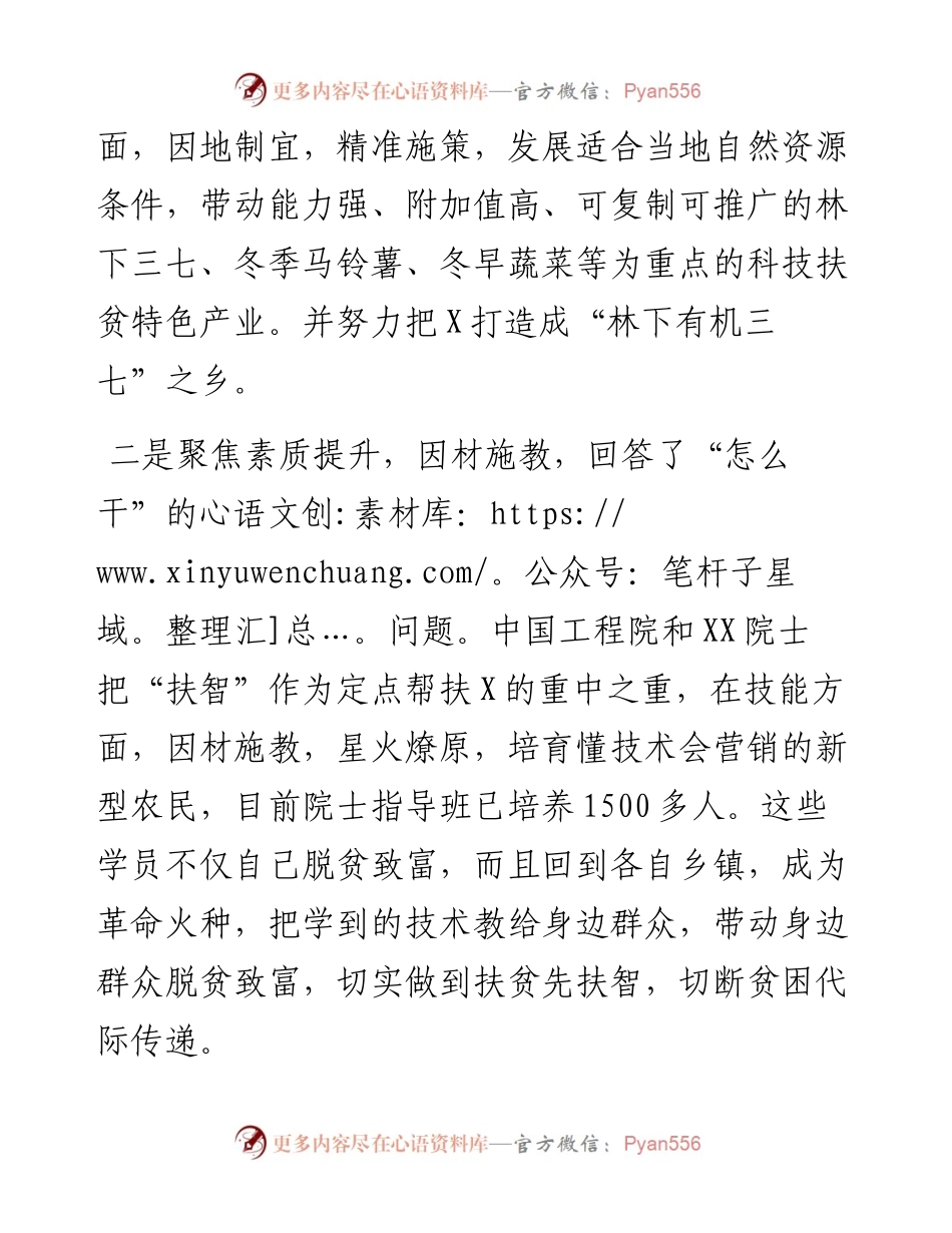 在X县挂职干部座谈会上的发言.docx_第2页